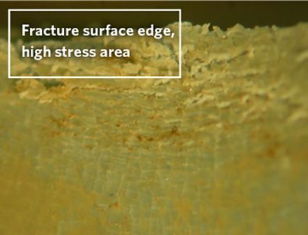 Environmental Stress Cracking in Plastics