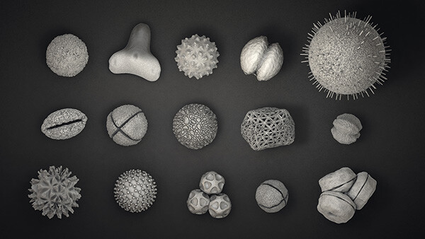 particles as seen under SEM imaging