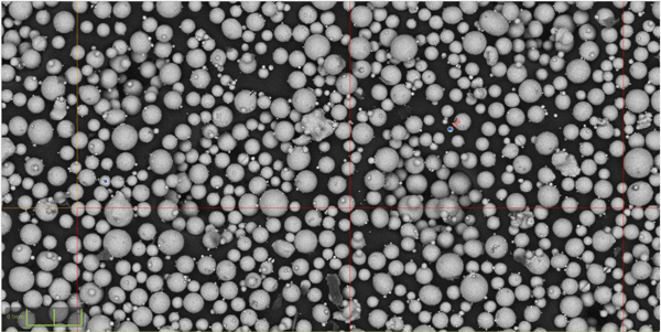 foreign contaminant